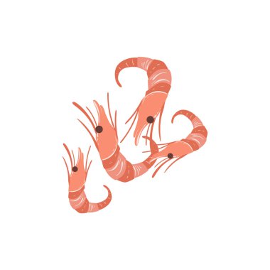 Karides parlak renk illüstrasyon izole