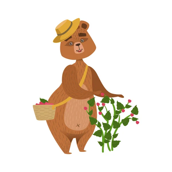 Medvěd hnědý holčičí kreslené — Stockový vektor
