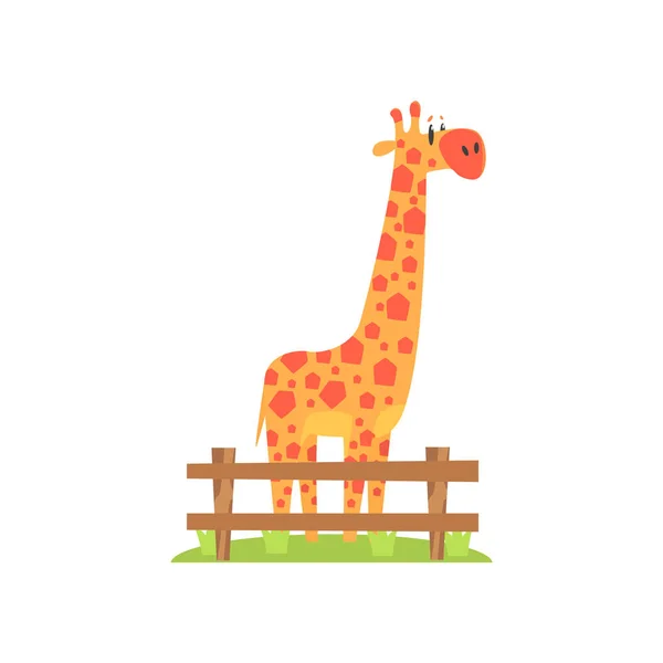 Grote Oranje Giraffe met Hexahedron vormige plekken permanent op groen gras Patch In Open lucht Zoo behuizing — Stockvector