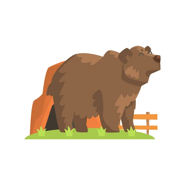 Urso marrom saindo do urso Den em pé no remendo de grama verde no recinto do jardim zoológico ao ar livre — Vetor de Stock