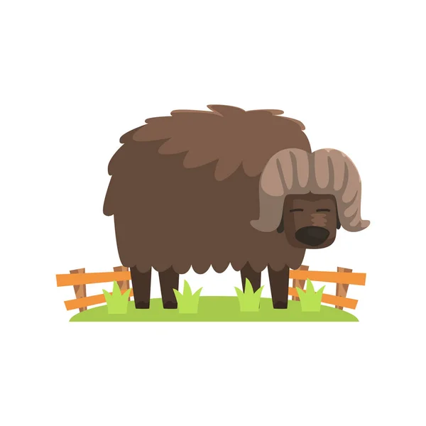 Musk Ox With Scruffy Brown Coat Standing On Green Grass Patch In Open Air Zoo Enclosure — Stock Vector