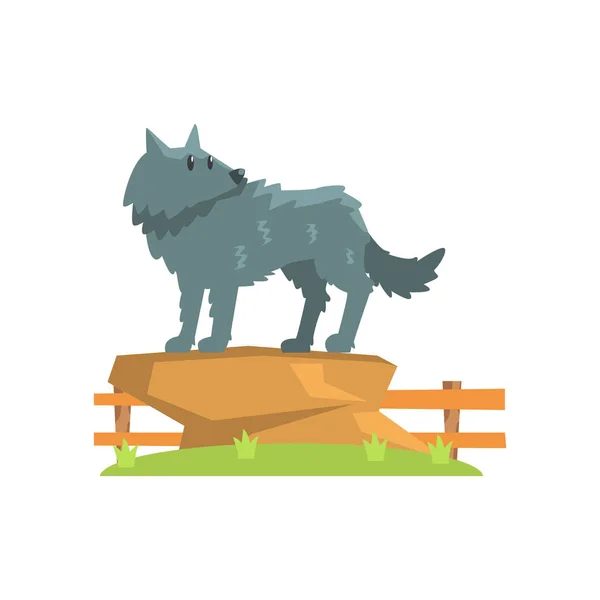 Grauer Wolf steht auf großem Felsen auf grünem Grasfleck im Freigehege des Zoos — Stockvektor