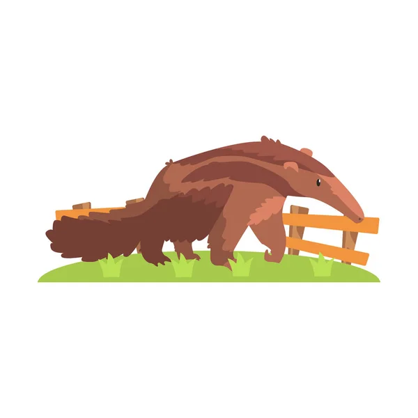 站在露天动物园的绿色草地上的长鼻子的棕色食蚁兽 — 图库矢量图片