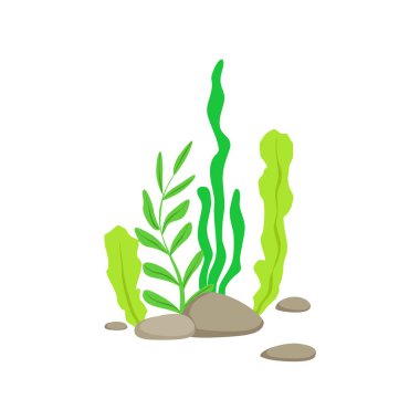 Set Of Different Bottom Underwater Algae Growing On The Rock clipart