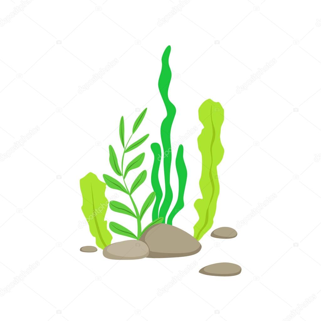 TopVectors