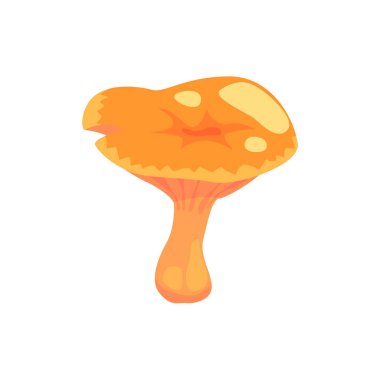 Cantharellus cibarius Mushroomisolated unsuru orman peyzaj tasarımı için amaçlar peyzaj birden parlamak oyun