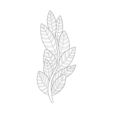 Yosun bitki deniz sualtı doğa yetişkin siyah ve beyaz Zentangle Kitap Illustration boyama