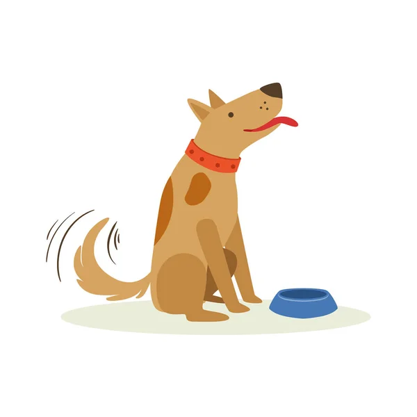 Brown Pet Dog Wating To Be Fed with Dog Food, Animal Emotion Cartoon Illustration — стоковый вектор