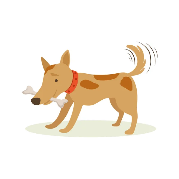 Brun hund transporterar ben i tänder, djurs känslor tecknad Illustration — Stock vektor
