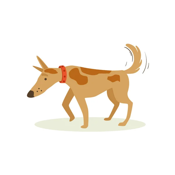 Brun hund blanda bort besviken, djurs känslor tecknad Illustration — Stock vektor