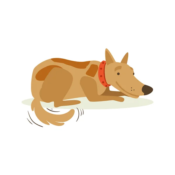 微笑铺设，动物情感卡通插图的棕色宠物狗 — 图库矢量图片