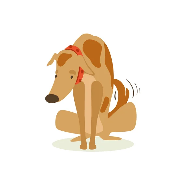 Guilty Brown Pet Dog Being Scolded, Animal Emotion Cartoon Illustration — стоковый вектор