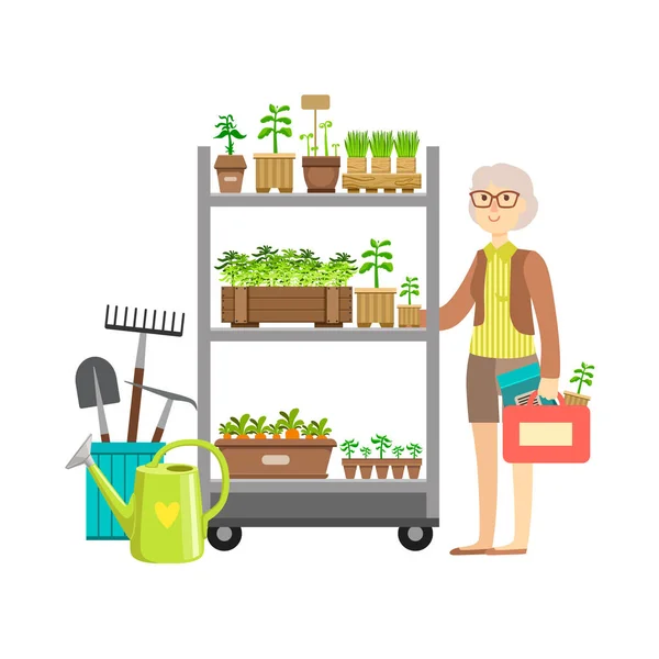 Frau kauft Gartenpflanzen, Shopping Mall und Kaufhaus Abschnitt Illustration — Stockvektor