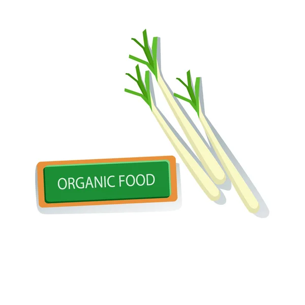 Trzy rośliny szalotka ilustracji świeżych organicznych warzyw uprawianych produktów Eco Farm — Wektor stockowy