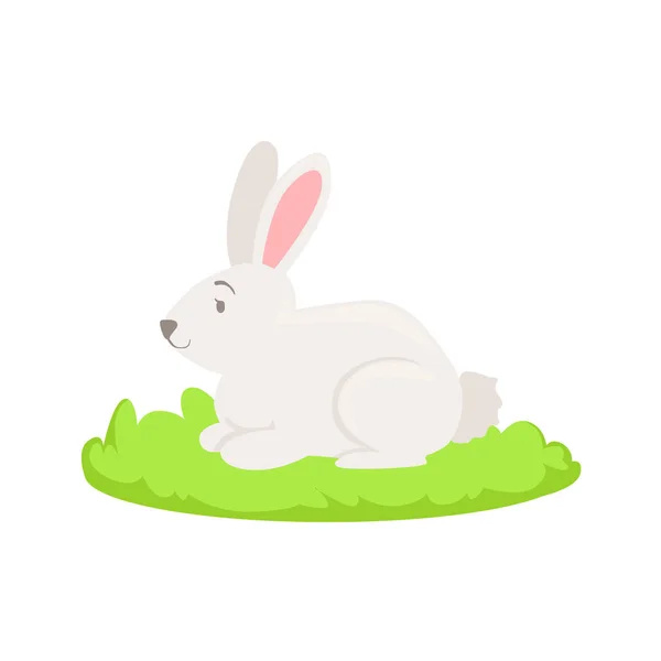 Kaninchen Bauernhof Tier Cartoon Bauernhof verwandte Element auf Flecken grünen Grases — Stockvektor