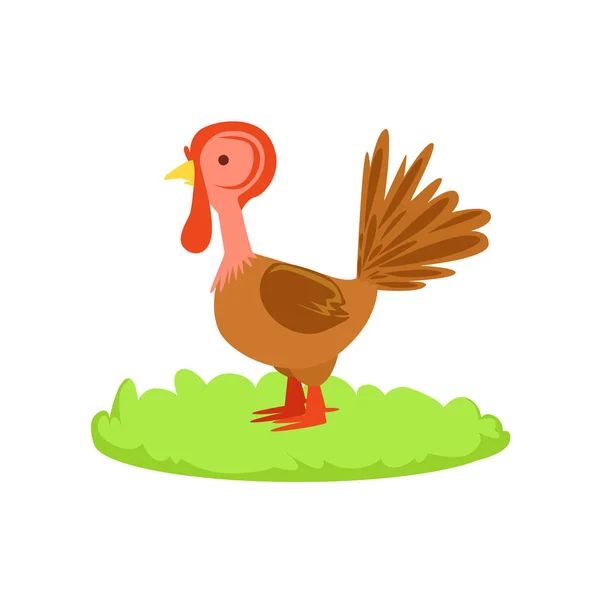 Turley Farm madár rajzfilm Farm kapcsolódó elem a folt a zöld fű — Stock Vector