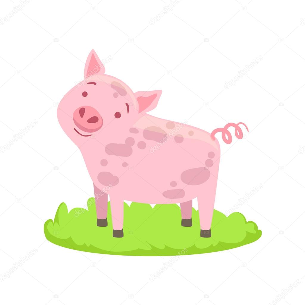 TopVectors