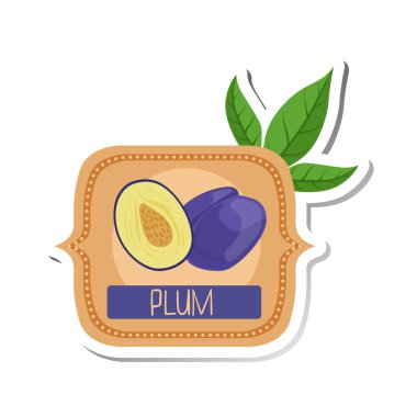 Erik parlak renk reçel etiket etiket şablon kare çerçeve