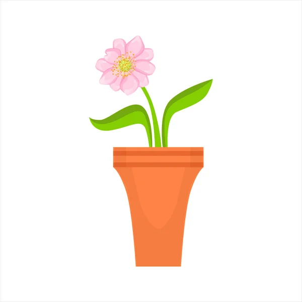 Inicio Flor rosa sola en la maceta, Tienda de flores Plantas decorativas Surtido Artículo Dibujos animados Vector Ilustración — Archivo Imágenes Vectoriales