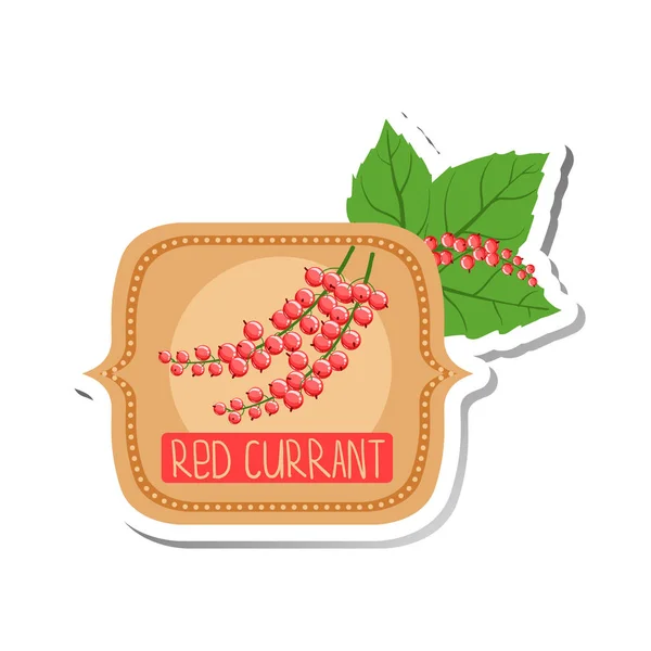 Red Currant Bright Color Jam Label Sticker Template In Square Frame — Stock Vector