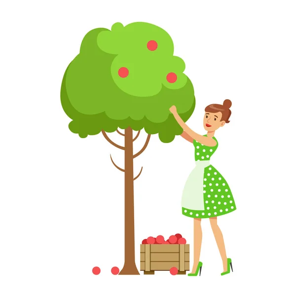 Mujer recogiendo manzanas orgánicas de un árbol, contribuyendo a la preservación del medio ambiente mediante el uso de formas ecológicas Ilustración — Vector de stock