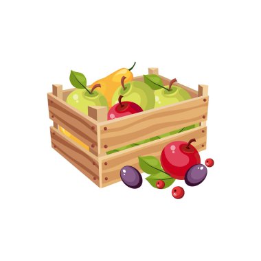 Wodden sandık dolu Bahçe meyve, çiftlik ve parlak karikatür tarzı ilgili çizimde tarım