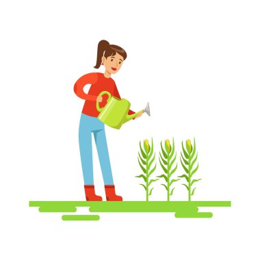 Mısır bitkileri, çiftlikte çalışan çiftçi sulama kadın ve doğal organik ürün piyasa üzerinde satış