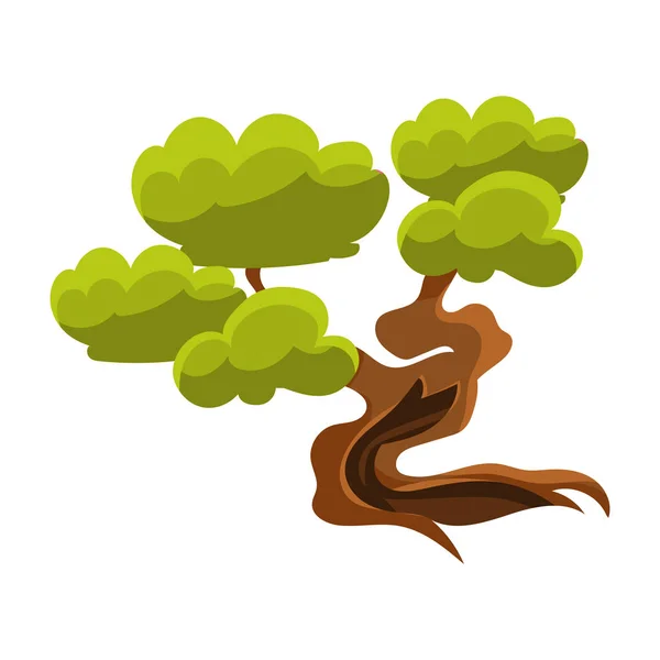 Зелене старе дерево Бонсай Мініатюра Традиційний японський сад Ландшафтний елемент Векторні ілюстрації — стоковий вектор