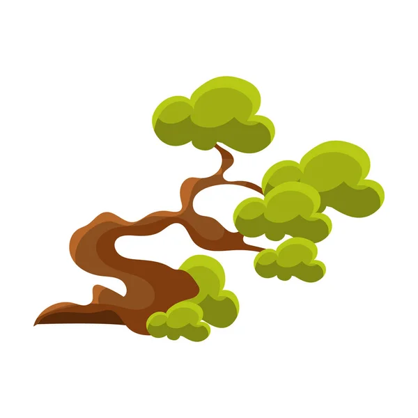 Green Crooked Tree Bonsai Miniature Traditional Japanese Garden Landscape Element Vector Illustration — Stock Vector