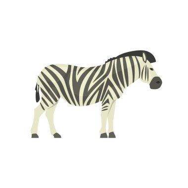 Zebra gerçekçi çizim Basitleştirilmiş