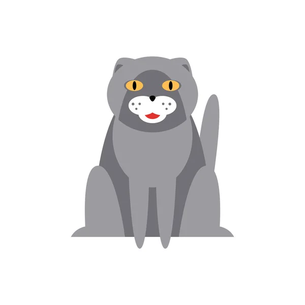 ペルシャ猫の品種原始的な漫画イラスト — ストックベクタ
