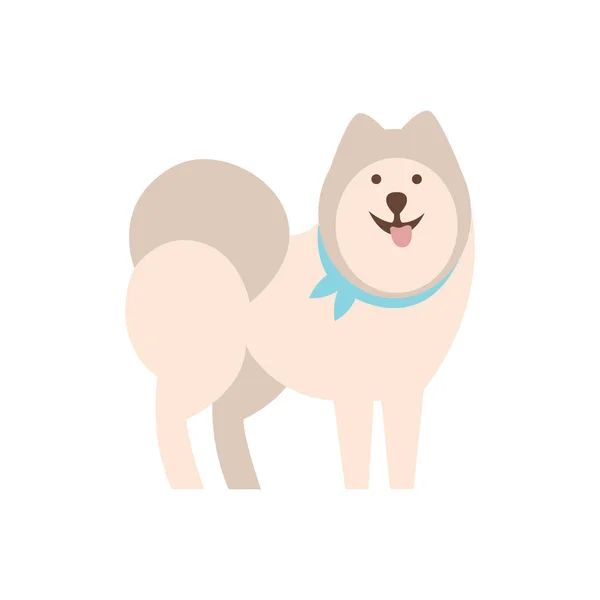 Μεγαλόσωμος σκύλος φυλή πρωτόγονη καρτούν εικονογράφηση — Διανυσματικό Αρχείο