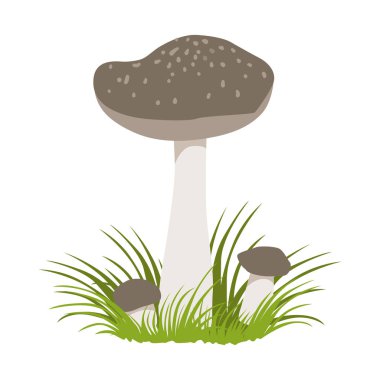 Tricholoma portentosum orman mantar. Renkli karikatür çizimi