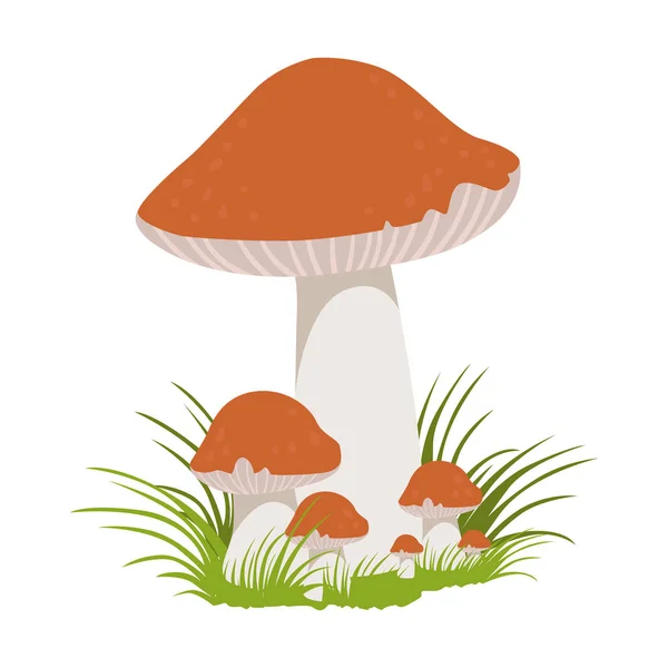Лактарій тихий, їстівні лісові гриби. Барвиста мультяшна ілюстрація — стоковий вектор