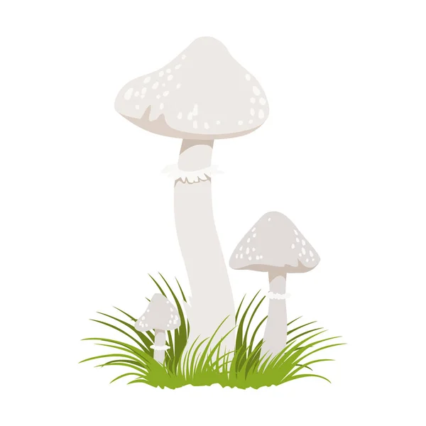 Amanita phalloides, setas venenosas. Dibujos animados coloridos ilustración — Archivo Imágenes Vectoriales