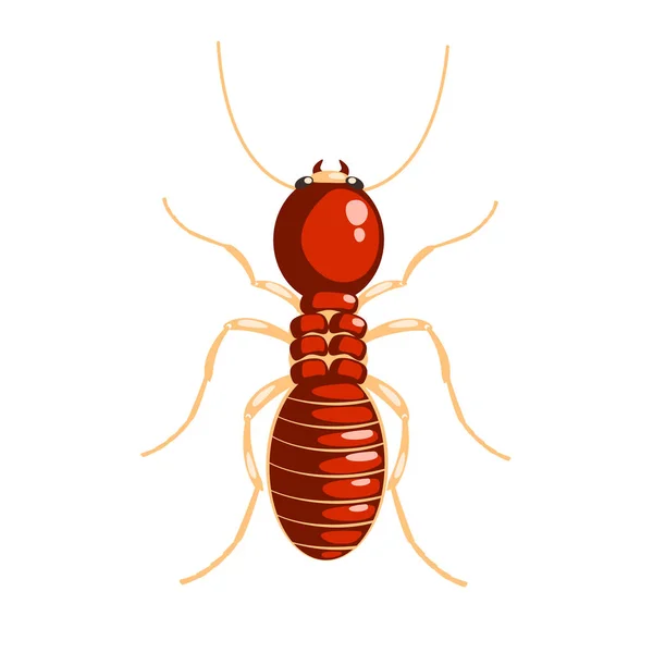 Termite insect colorful cartoon character — Stock Vector