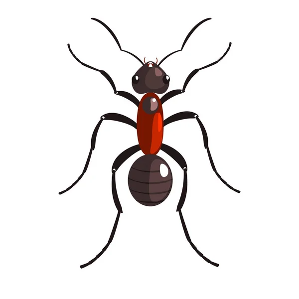 Siyah karınca böcek renkli renkli çizgi film karakteri — Stok Vektör