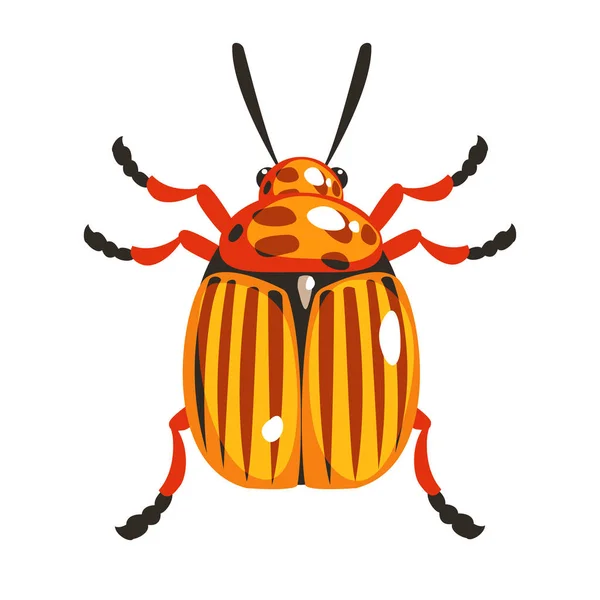 Colorado potato beetle colorful cartoon character — Stock Vector
