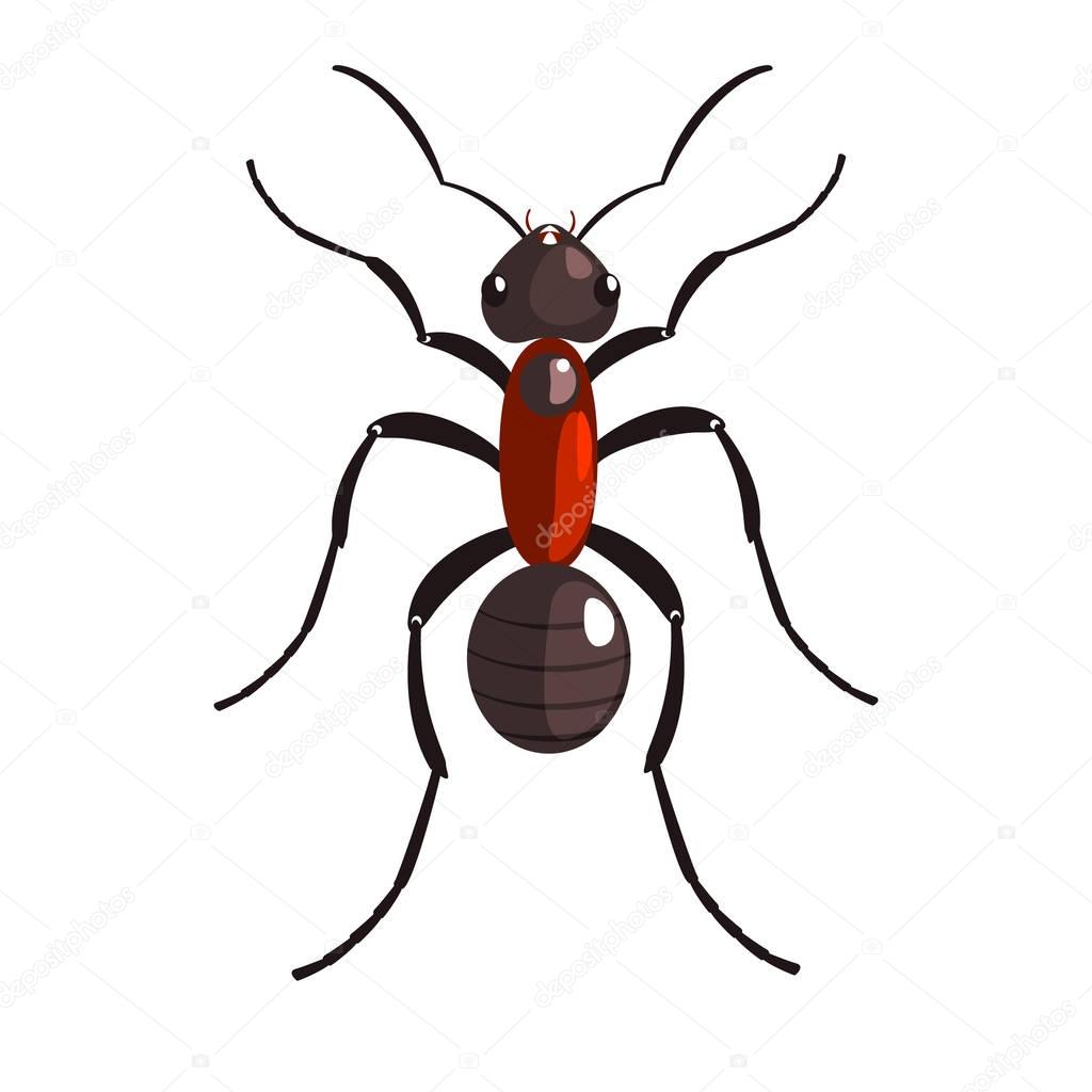 Black ant insect colorful colorful cartoon character