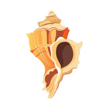 Rapana kabuk. Deniz yumuşakça boş bir kabuk. Renkli karikatür çizimi