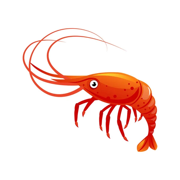 Camarão, criatura marinha e frutos do mar. Personagem de desenho animado colorido v — Vetor de Stock