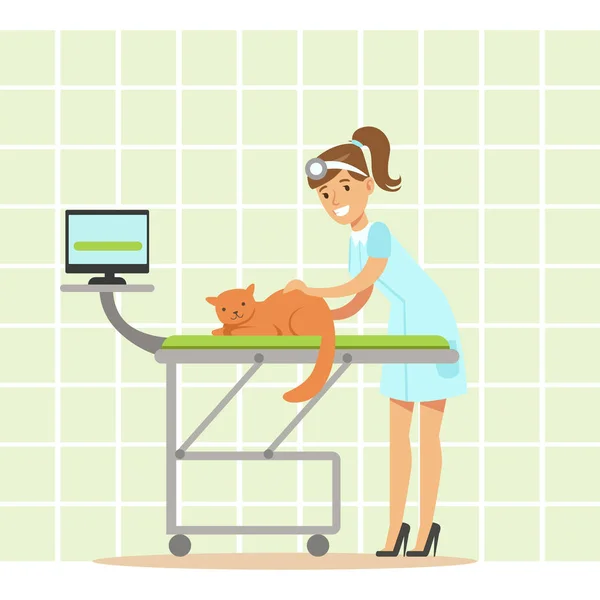 Uśmiecha się kobieta lekarz weterynarii badanie kota w klinice weterynaryjnej. Kolorowy kreskówka — Wektor stockowy