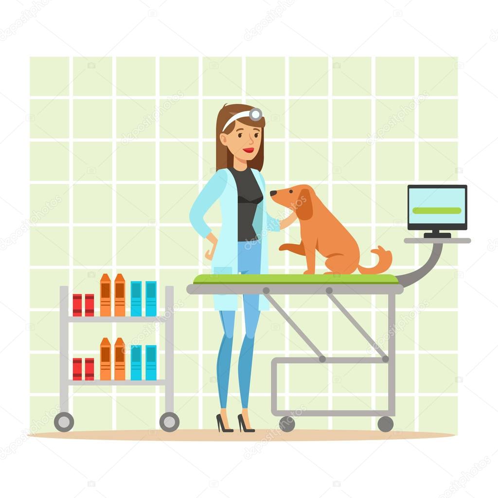 Cheerful veterinary doctor examining dog in vet clinic. Colorful cartoon character Illustration