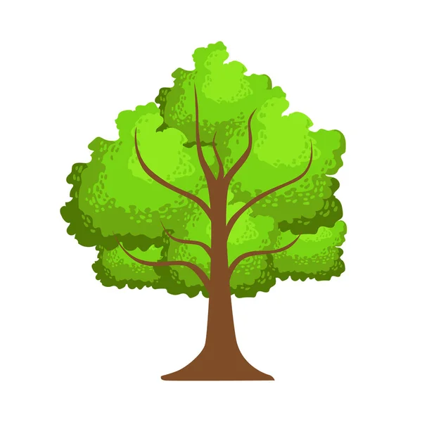 Träd med gröna blad, element i ett landskap. Färgglada tecknade vektor Illustration — Stock vektor