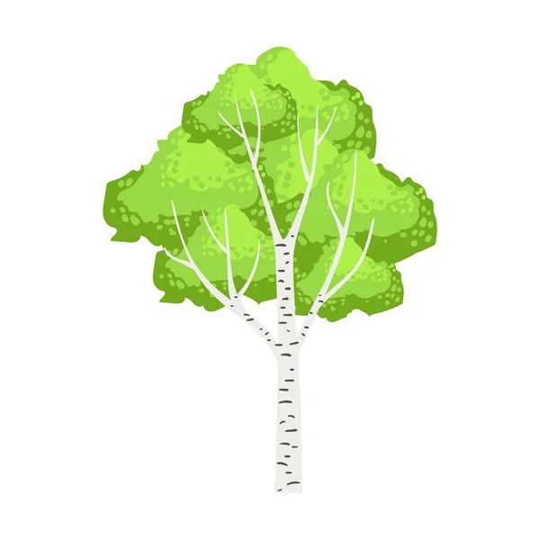 Πράσινο σημύδα δέντρο. Πολύχρωμο κινούμενα σχέδια διανυσματικά εικονογράφηση — Διανυσματικό Αρχείο