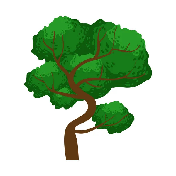 Esparciendo árbol verde, elemento de un paisaje. Colorido vector de dibujos animados Ilustración — Vector de stock