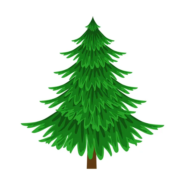 Świerk, wiecznie zielone drzewo, element krajobrazu. Kolorowy kreskówka wektor ilustracja — Wektor stockowy