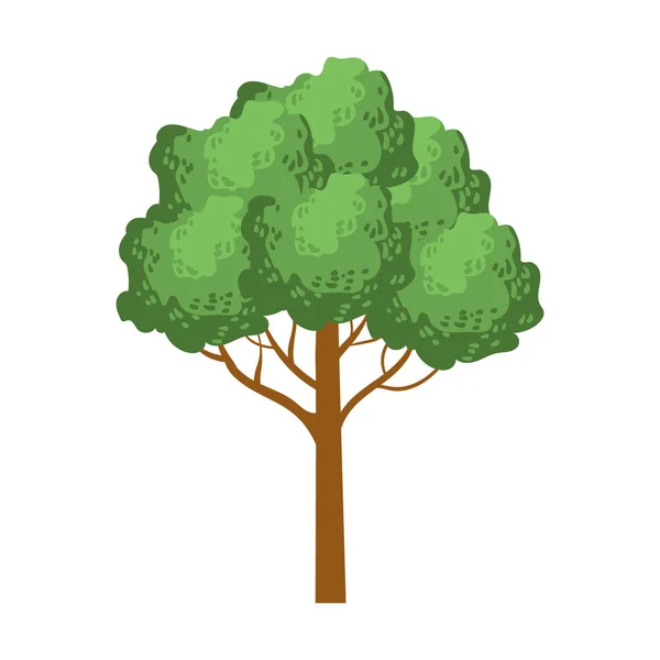 Zielone drzewo z zaokrągloną koronę, element krajobrazu. Kolorowy kreskówka wektor ilustracja — Wektor stockowy