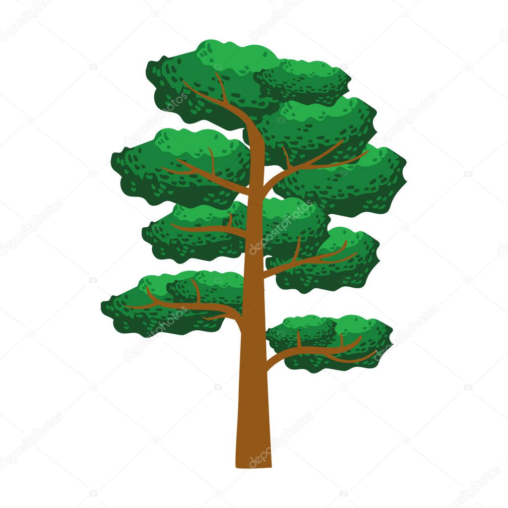 Pine tree, element of a landscape. Colorful cartoon vector Illustration