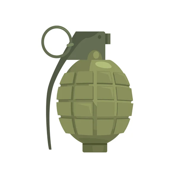 Pineapple hand grenade vector illustration — Stock Vector © lhfgraphics